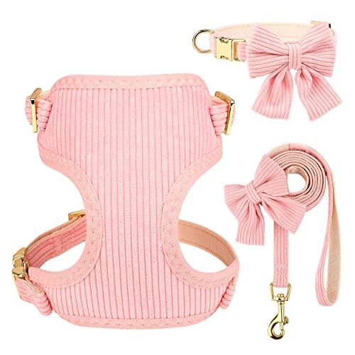 Didog Cute Small Dog Collar Harness & Leash Set, Adjustable Dog Collars and Leashes with Bowtie, Breathable Soft Mesh Padded Dog Vest for Puppies Small Dogs & Cats Walking(Pink, M)