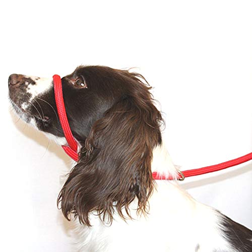 Dog & Field Figure 8 Anti Pull Leash/Halter/Head Collar- One Size Fits All - Super Soft Braided Nylon - Fitting Instructions Included - Comfortable, Kind, Supple, Secure No More Pulling! (RED)