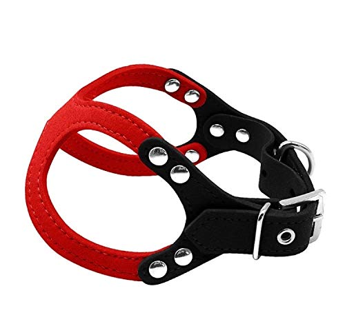 Dog Harness Buddy Belt Style (Small, Red/Black)