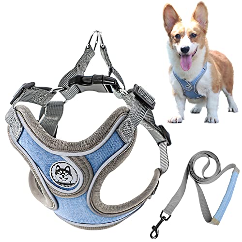 Dog Harness for Small Dogs, Soft Pet Harness with Leash, Bulldog Puppy Harness, Dog Vest Harness, Step in Vest Harness, No Choke Dog Harness, Breathable Mesh Cats Doggie Costume (S)