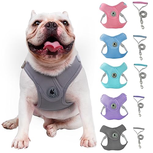 Dog Harness with Leash Set, No-Pull Pet Harness with 1 Leash Clips, Adjustable Soft Padded Pet Vest for Small Medium Dogs No Pull, Puppy Harness and Leash Set (Gray,M)
