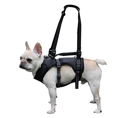 Dog Lift Harness, Full Body Support & Recovery Sling, Pet Rehabilitation Lifts Vest Adjustable Breathable Straps for Old, Disabled, Joint Injuries, Arthritis, Paralysis Dogs Walk(Black,s)