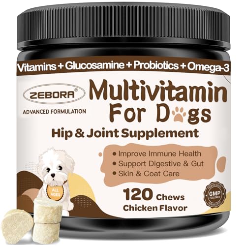 Dog Multivitamin Chews for Overall Health - Dog Vitamins and Supplements with Glucosamine, Probiotics for Puppy & Senior Dogs with Minerals - Omega 3 Fish Oil for Skin & Coat - 120 Chews