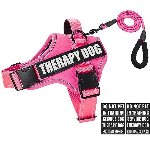 Dog Vest Harness and Leash Set, Animire Reflective Service Dog Vest with 10 Patches, 3 Rings No Choke Pet Vest for Leash Placement, in Training Dog Harness for Small Medium Large Dogs(Hot Pink,S)