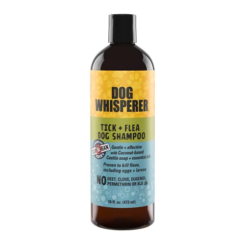 Dog Whisperer Tick + Flea Dog Shampoo, Proven Effective, Made with Coconut-Based Castile Soap and Essential Oils (16 Ounces)