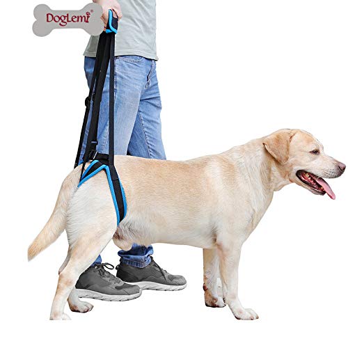 DogLemi Pet Dog Support Harness, Dog Lift Harness Portable Lifting Harness Sling Strap Help Dogs with Weak Rear Legs for Surgery Injuries Elderly Dogs Recovery Walking Pain Relief