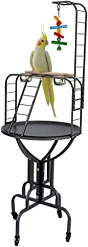 Elegant Design and Sturdy Wrought Iron Parrot Cockatiel Cockatoo Bird Play Gym Ground Stand with Metal Pan & Ladder