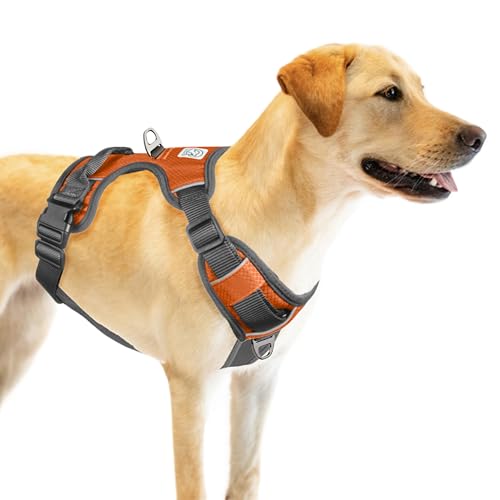 Embark Adventure Dog Harness, No Pull Dog Harness with 2 Leash Clips, Dog Harness for Large Dogs No Pull. Front & Back with Control Handle, Adjustable Orange Dog Vest, Soft & Padded for Comfort