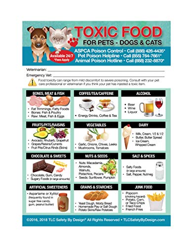 Enhanced Toxic Foods TRADEMARKED Poison for Pets Dogs Cats Emergency Home Alone 5” x 7” Veterinarian Approved Refrigerator Safety Magnet (Qty. 1)