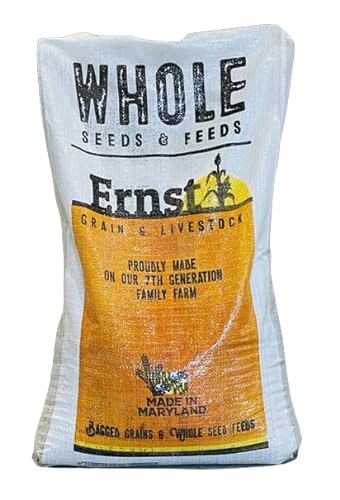 Ernst Grain's Black Oil Sunflowers, Non-GMO, 50 lb