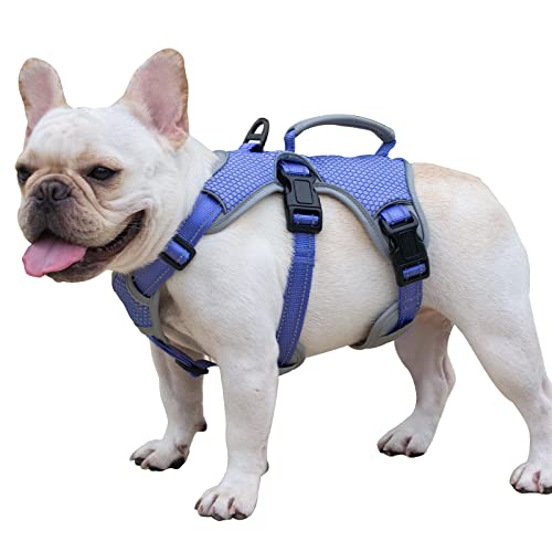 Escape Proof Dog Harness, Escape Artist Harness, Fully Reflective Harness with Padded Handle, Breathable, Durable, Adjustable Vest for Small Dogs Walking, Training,and Running Gear(Technicolor Blue,S)