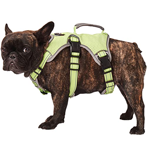 Escape Proof Dog Harness, Escape Artist Harness, Fully Reflective Harness with Padded Handle, Breathable,Durable, Adjustable Vest for Small Dogs Walking, Training, and Running Gear Green (Small)