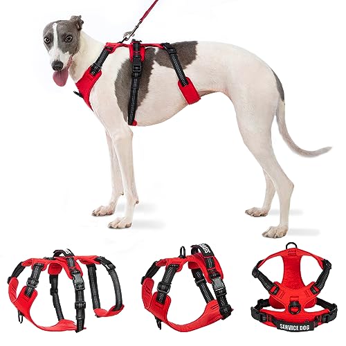 Escape Proof Dog Harness, No Pull Dog Harness, Reflective Harness with Handle, 2 Service Patches, Breathable, Durable, Adjustable Vest for Small Dogs Walking, Training, and Running Gear (Red, S)