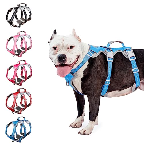 Escape Proof Harness for Dogs, No Escape Dog Harness, No Pull Dog Harness for Large Dogs with Handle, Reflective, Breathable, Durable, Adjustable Vest for Walking, Training, and Running Gear (Blue, L)