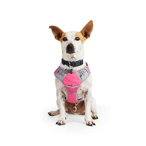 EveryYay Embrace The Pace Pink Reflective Dog Harness, Small