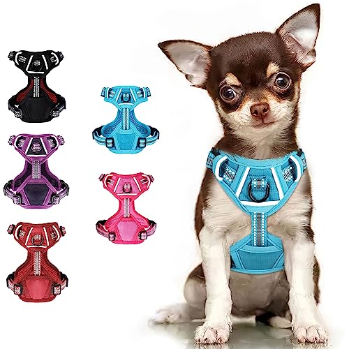 Extra Small Dog Harness XSmall Dog Harness Dachshund Harness Pet Harness (Blue, X-Small)