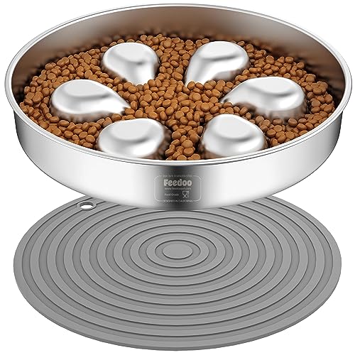 Top Rated Elevated Dog Bowls