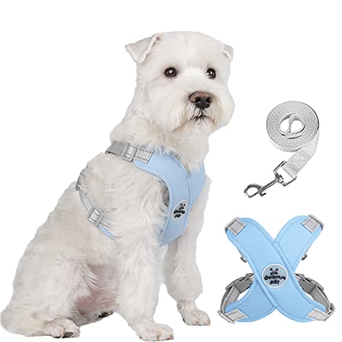 FEimaX Dog Harness Pet X Frame No Pull Step-in Harnesses with Leash Set, Adjustable Reflective Choke Free Puppy with Padded Vest for Small, Medium Dogs and Cats Walking Training (Blue, Large)