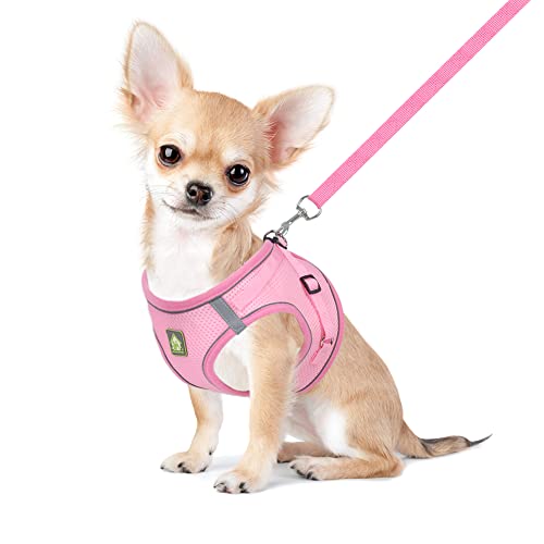 FEimaX No Pull Dog Harness and Leash Set, Soft Mesh Harnesses Vest Reflective Escape Proof for Small Dogs Cats Vest Adjustable Pet Outdoor Harnesses for Puppy Kitten Rabbit