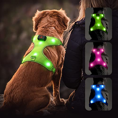 Flashseen LED Dog Harness, Lighted Up USB Rechargeable Pet Harness, Illuminated Reflective Glowing Dog Vest Adjustable Soft Padded No-Pull Suit for Small Medium Large Dogs (Green, S)