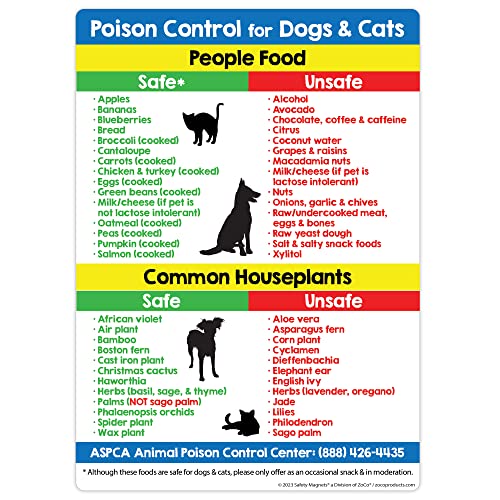 Foods and Plants Toxic to Cats and Dogs Fridge Magnet - Pet Poison Control - by Safety Magnets - 5x7 in.