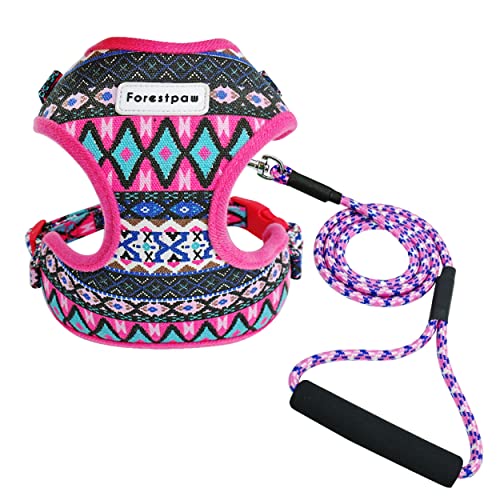 Forestpaw Adjustable Puppy Harness,Multi-Colored Stylish Dog Walking Vest Harness and Leash Set- Soft Mesh Padded No Pull Dog Harness for Small Dogs,Hot Pink,Fits Chest 11-14"