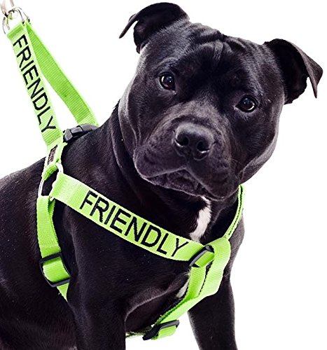 Friendly (Known as Friendly to All) Green Colour Coded Non Pull L-XL Dog Harness Prevents Accidents by Warning Others of Your Dog in Advance