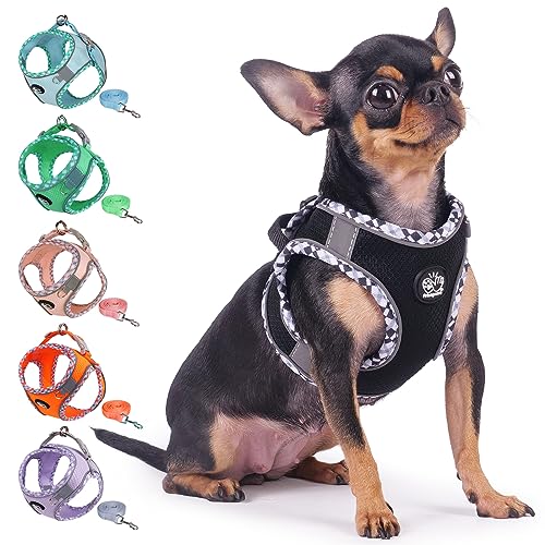 Frienperro Breathable Dog Harness with Leash Set for Small Dog, Dog Harness for Medium Dogs No Pull, Adjustable Reflective Dog Harness, Summer Dog Harnesses for Puppy Small Dogs, Cat Harness Set