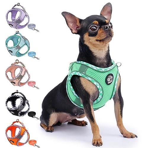 Frienperro Breathable Dog Harness with Leash Set for Small Dog, Dog Harness for Medium Dogs No Pull, Adjustable Reflective Dog Harness, Summer Dog Harnesses for Puppy Small Dogs, Cat Harness Set