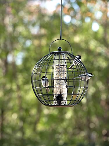 Gardener's Supply Company Globe Cage Bird Feeder | Sturdy and Squirrel Proof Outdoor Garden Hanging Hummingbird Feeder with Mixed Seeds Container | Best for Finches Nuthatches and Other Small Birds