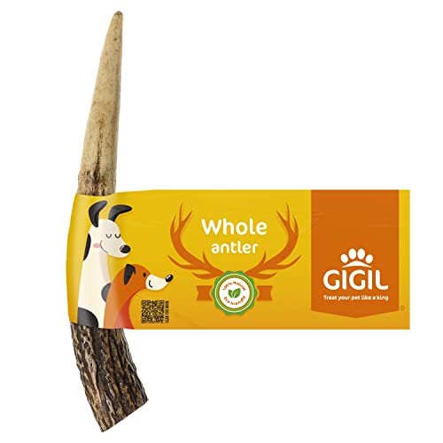 GIGIL Treat You pet Like a King - 100% Natural Deer Antlers for Small Dogs - Premium Elk Antlers - Long Lasting Dog Chew Toy - Naturally Shed and Organic Antlers for Dogs - Size S