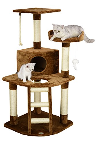 Cat Tree And Litter Box