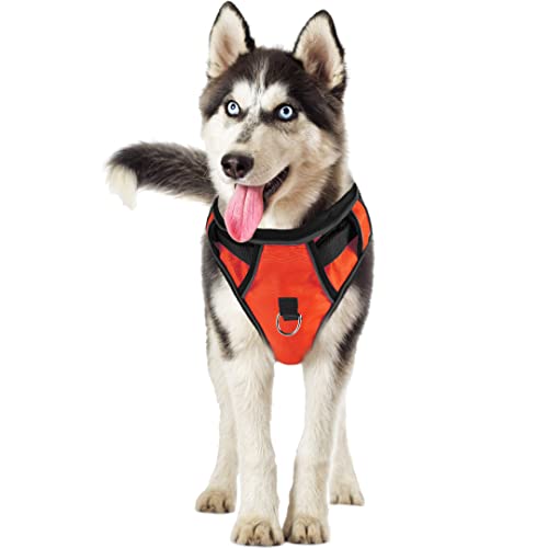 GoFortunePet Reflective No Pull Dog Harness to Walk Small, Medium and Large Pets - Easy Adjustable Design - Anti Escape, Heavy Duty Body Vest with Breathable Mesh, Weather Proof Nylon (Orange, L)