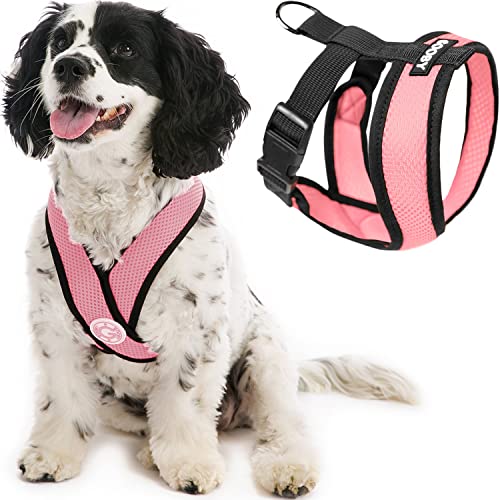 Gooby - Comfort X Head-In Harness, Choke Free Small Dog Harness with Micro Suede Trimming and Patented X Frame, Pink, Small (5-9 lbs)