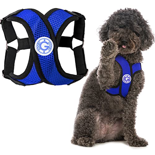 Gooby Comfort X Step In Harness - Blue, X-Large - No Pull Small Dog Harness Patented Choke-Free X Frame - Perfect on the Go Dog Harness for Medium Dogs No Pull or Small Dogs for Indoor and Outdoor Use