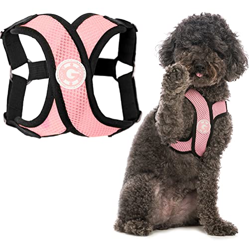 Gooby Comfort X Step In Harness - Pink, Large - Comfort X Step-in Small Dog Harness Patented Choke-Free X Frame - On the Go Dog Harness for Medium Dogs No Pull or Small Dogs for Indoor and Outdoor Use