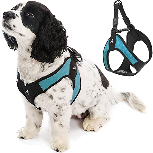 Gooby - Escape Free Easy Fit Harness, Small Dog Step-In Harness for Dogs that Like to Escape Their Harness, Turquoise, Medium