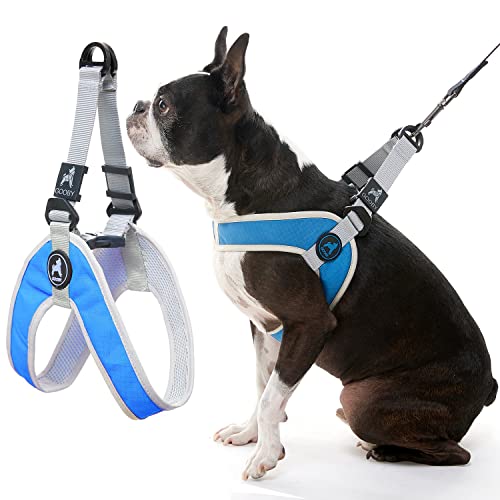 Gooby Simple Step in III Harness - Blue, Small - Small Dog Harness with Scratch Resistant Outer Vest - Soft Inner Mesh Harness for Small, Medium Dogs