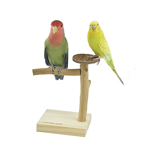 GUANLANT Natural Wood Bird Stands Feeder Toys, Tabletop Portable Training Parrots Perch Playstands Feeding Bowl Treats Toys,Bird Cage Playground Accessories for Parakeets Conure Budgies Lovebirds