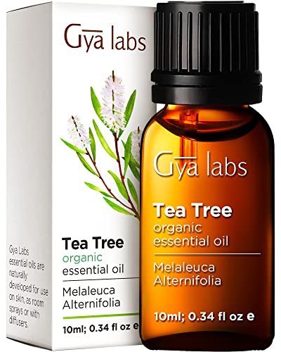 Gya Labs Australian Organic Tea Tree Oil for Skin - Natural Tea Tree Oil for Hair - Tea Tree Oil for Face - Tea Tree Essential Oil for Toenails, Scalp & Piercings - (0.34 fl oz)