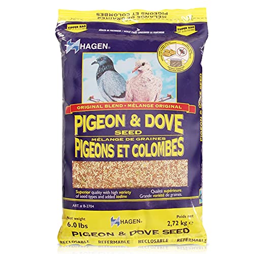 Hagen Pigeon & Dove Seed, Nutritionally Complete Bird Food, original version, 6 Pound (Pack of 1) (B2704)