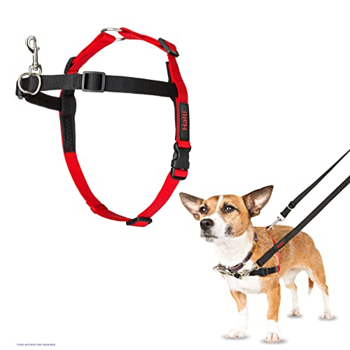 HALTI Front Control Harness, Size Small, Bestselling Professional Dog Harness to Stop Pulling on the Lead, Easy to Use, Anti-Pull Training Aid, Front Leading No Pull Harness for Small Dogs