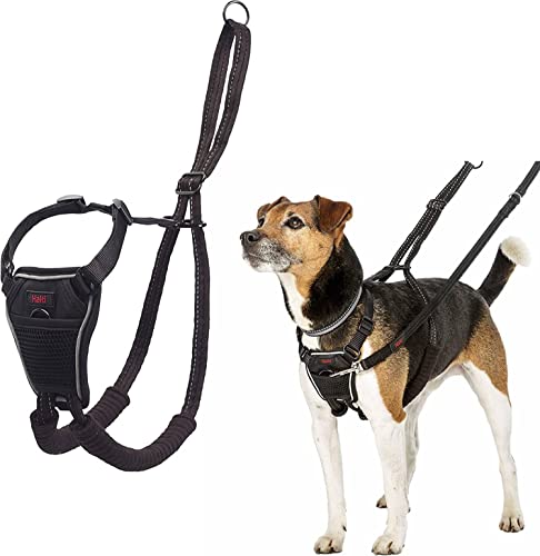 HALTI No Pull Harness Size Small, Bestselling Professional Dog Harness to Stop Pulling on the Lead, Easy to Use, Anti-Pull Training Aid, Adjustable, Reflective and Breathable, For Small Dogs