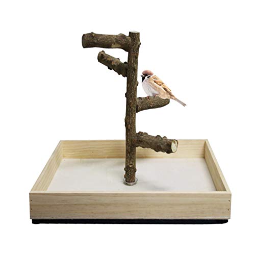 Hamiledyi Bird Perch Stand Tabletop,Parrot Playground Bird Gym Natural Wooden Perch PlayStand Platform for Parrots Parakeets Canaries Cockatiels Conure Lovebirds