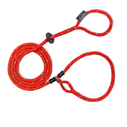 Harness Lead No Pull Dog Harness and Leash Set, Anti Pull Dog Harness for All Breeds and Sizes, One-Piece Cushioned Rope Design Safely Prevents Escaping and Pulling (Small/Medium, Red/Reflective)