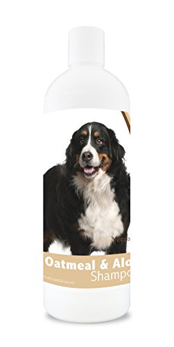 Healthy Breeds Bernese Mountain Dog Oatmeal Shampoo with Aloe 16 oz