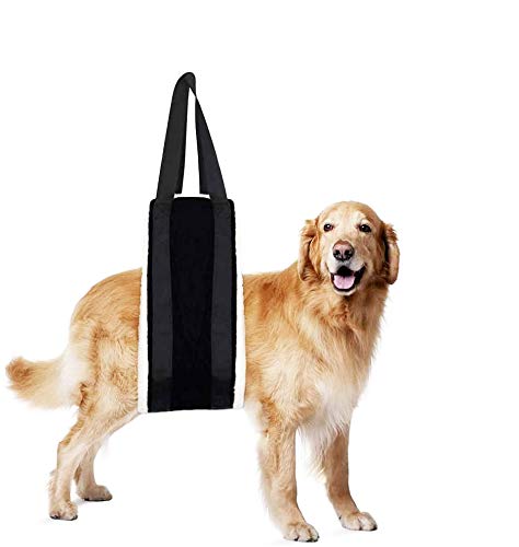 HNYG 30-120 lbs Large Dog Sling for Rear Legs Helps Elderly Dogs with Reduced Mobility, Dog Support K9 Dog Lift Harness, Dog Lifter for Arthritis ACL Rehabilitation Rehab, 7" x 51"