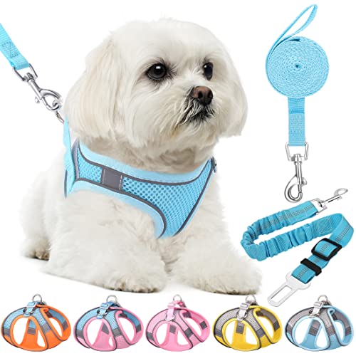 HPETHF Dog Harness for Small Dogs Leashes Set,Soft No Pull Adjustable Breathable Mesh Leash and Harness Vest Belt for Puppy,Small,Medium Dogs and Cats.（BE-XS）