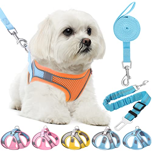 HPETHF Dog Harness for Small Dogs Leashes Set,Soft No Pull Adjustable Breathable Mesh Leash and Harness Vest Belt for Puppy,Small,Medium Dogs and Cats.（OB-S）