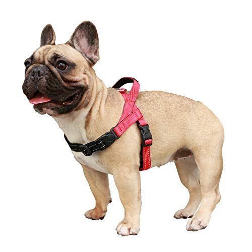 iChoue Dog Harness Easy On and Off Adjustable Harness Lightweight Harness with Handle for Small and Medium Dogs - Red S